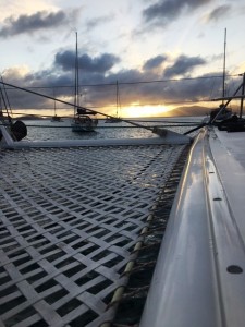 IMG 0847  